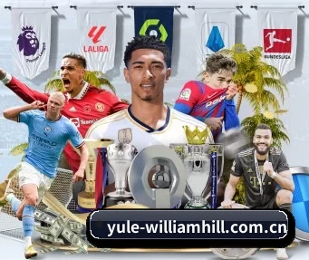 威廉希尔 APP(williamhill)
